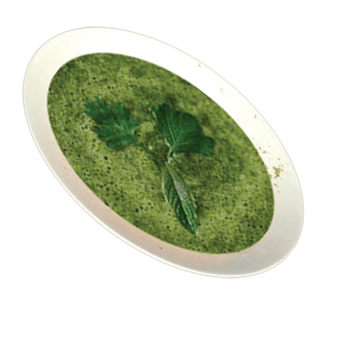 Green Sahawiq With Yogurt